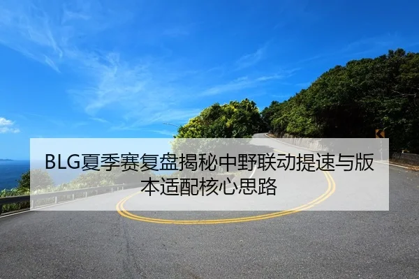 BLG夏季赛复盘揭秘中野联动提速与版本适配核心思路