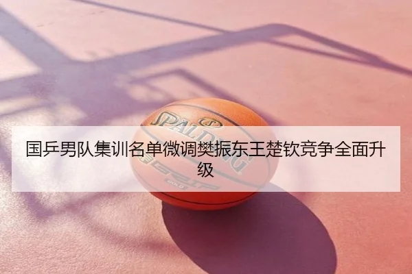 国乒男队集训名单微调樊振东王楚钦竞争全面升级